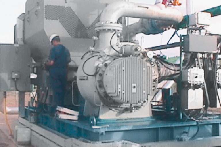 Shaft seals for twin screw pump