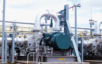 Shaft seal for sealing a twin screw pump