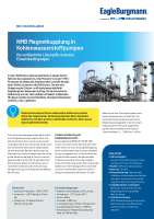 Solution: NMB Magnetkupplung in Kohlenwasserstoffpumpen